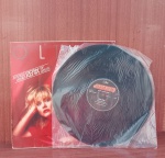 Disco de Vinil com marcas do tempo.