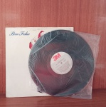 Disco de Vinil com marcas do tempo.