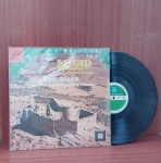 Disco de Vinil com marcas do tempo.