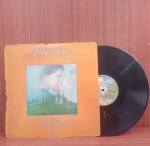 Disco de Vinil com marcas do tempo.