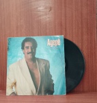 Disco de Vinil com marcas do tempo.