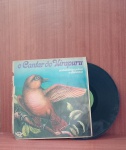 Disco de Vinil com marcas do tempo.