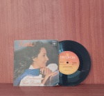 Disco de Vinil com marcas do tempo.