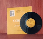 Disco de Vinil com marcas do tempo.