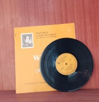 Disco de Vinil com marcas do tempo.
