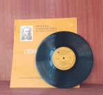 Disco de Vinil com marcas do tempo.