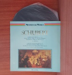 Disco de Vinil com marcas do tempo.