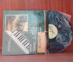 Disco de Vinil com marcas do tempo.