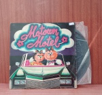Disco de Vinil com marcas do tempo.