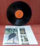 Disco de Vinil com marcas do tempo.