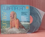 Disco de Vinil com marcas do tempo.