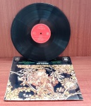 Disco de Vinil com marcas do tempo.