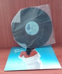 Disco de Vinil com marcas do tempo.