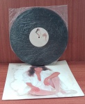 Disco de Vinil com marcas do tempo.