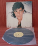 Disco de Vinil com marcas do tempo.
