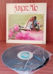 Disco de Vinil com marcas do tempo.