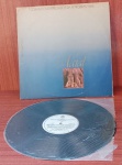 Disco de Vinil com marcas do tempo.