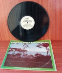 Disco de Vinil com marcas do tempo.