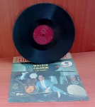 Disco de Vinil com marcas do tempo.