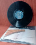 Disco de Coleção com marcas do tempo.