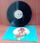 Disco de Coleção com marcas do tempo.