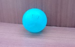 Bola Para Hamster Roedores com marcas do tempo.