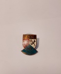 Broche de Coleção em Metal com Marcas do Tempo.