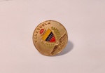 Broche de Coleção em Metal com Marcas do Tempo.