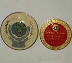 Kit 2 Broches Lions antigos