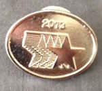 Pin 2013 estrela Prateado