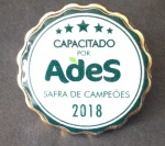 Pin ades