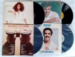 Coleção Disco de Vinil Guardados com Marcas do Tempo, Não Testados.