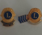 Kit 2 Pin antigo Lions