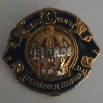 Pin Antigo Lions