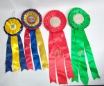 Lote de 4 Lindas Rosetas de Cetim com plaquinha de metal da - Federação Equestre do Estado do Rio de Janeiro - Sendo que 2 representam - 2º e 4º Lugares - Medida da maior: 15 cm de diâmetro x 34  cm de comprimento de fita. Conforme fotos.
