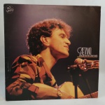 VINIL, TOTALMENTE DEMAIS, CAETANO VELOSO, 1986, PHILIPS, C/ENCARTE, CAPA EM BOM ESTADO, VINIL EM BOM