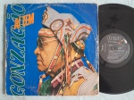 LP LUIZ GONZAGA - AÍ TEM // CAPA CONFORME FOTOS // DISCO EM MUITO BOM ESTADO // PODE CONTER RISCOS QUE CAUSAM CHIADOS, RUÍDOS OU PULOS