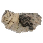 EDUARDA DUVIVIER (Rio de Janeiro, 1946) - Escultura erótica em bronze patinado representando casal. Apoiada em base de pedra. 5 x 15 x 9 cm (escultura). 8 x 33 x 19 cm (MT). Pintora, figurinista e escultora, nesta última modalidade trabalha em bronze, acrílico e resina com pó de mármore. Desde muito jovem frequentou em Petrópolis o ateliê de pintura e escultura de seus pais, Edgard Duvivier e de Ivna Mendes de Moares Duvivier.