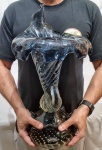 MURANO - Belíssima, charmosa e majestosa cornucópia executada finamente em vidro artístico de Murano de linda tonalidade azul, feitio em torceil gomado com bolhas e pó de ouro. Itália meados do século XX. Impecável estado de conservação, mede 49,5 cm de altura x 17,5 cm de diâmetro da base. OBS: FORMA UM BELÍSSIMO COMPOSE COM A CORNUCÓPIA DO LOTE 274.