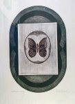 PEDRO LEMAY -  Lithogravura em relevo - " Borboleta Preta e Verde, 1975, CID - 7/50. Mede 70 x 59 cm. s/ moldura.