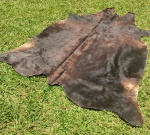 TAPETE -  Couro  natural na cor marrom, sem acabamento. Mede 1,50 x 1,80 m, aproximadamente 2,6 m2, irregular. Pequenas marcas.