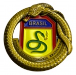 LINDA MOEDA FORÇA EXPEDICIONÁRIA BRASILEIRA CELEBRA EXÉRCITO COMEMORATIVA