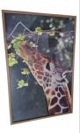 Quadro Decorativo, representando "Uma girafa". Med 93x63 cm.