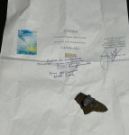 COLECIONISMO - Fragmento de meteorito magnético pesando 39 gramas. Apresenta certificado SIKHOTE-ALIN, Hamburgo, Alemanha, 2010.
