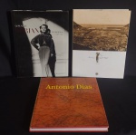 LIVRO - Lote contendo três livros, Sendo um " GOWNS BY ADRIAN" , PÁGINAS 207.  Med:24x30. Um de "ANTÔNIO DIAS" pág 141. Med:25x27,4. E um ITANHANGÁ". Med: 31x24cm.