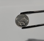 10 CENTAVOS 1980 PROVA FC - PEIXE