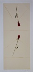 Olímpia Couto, Par de Flores, gravura, tiragem 82/100, 70x33cm, sem moldura