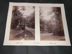 Brasil, lote com 2 fotografias "Albuminas" circa 1890, "Rio de Janeiro - Passeio Público