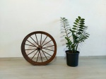 RODA - CARROÇA: Antiga roda de carroça aramada toda em ferro. Medidas: largura: 10 cm e diâmetro: 57 cm.