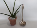TALHERES - CONCHA: Antiga concha de feijão ou caldos em metal prateado. Medidas: comprimento: 33 cm e diâmetro: 10 cm.